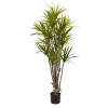 Nearly Natural 5 ft. Dracaena Silk Tree