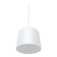 Axis 02390-001 C1511 NETWORK PENDANT SPEAKER