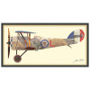 Empire Art Direct Antique Biplane #1 Alex Zeng dimensional collage, under glass a black shadow box frame