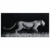 Empire Art Direct Frameless Free Floating Tempered Glass Art by EAD Art Coop - Fearless 1