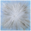 Empire Art Direct Supernova Textured Metallic Hand Painted Wall Art by Martin Edwards
