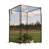 Zenport Industries 47.2 x 47.2 x 70.9 in. Fruit Cage with Steel Frame & Anti-Bird Netting - Pack of 3