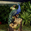 Jeco Outdoor Peacock Fountain