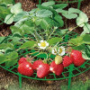 Zenport Industries Plant Supports for Gardening fruits & Vegetables - Pack of 10
