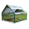 Zenport Industries 4 x 4 ft. x 36 in. Garden Greenhouse for Plants - Pack of 3