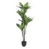 Real Touch Dracaena X5 Everyday Tree with 68 LVS in - 60 in.