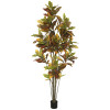 7 ft. Potted Cronton Tree with 192 Leaves - Green & Orange