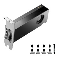 PNY VCNRTX2000ADA-B NVIDIA RTX 2000 ADA GENERATION BOARD ONLY