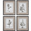 212 Main 32510 Casual Grey Study I II III IV S-4