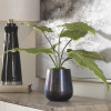 212 Main 60179 28 x 16 x 16 in. Mari Calla Accent Plant