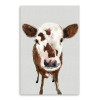 HomeRoots 36 x 24 in. Brown & White Baby Cow Face Canvas Wall Art