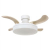 Fanaway Fanaway Orbit 36-inch Matte White Ceiling Fan with Light