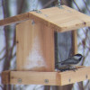 Stovall Extra Small Hanging Hopper Feeder