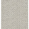 Homeroots 63 x 91 in. Polyester Rug Ivory Grey