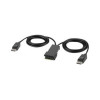 Belkin F1DN2MOD-CC-P06 MDLR DH CONSOLE CBL DP 6 FT