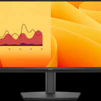 DELL DELL-E2225HSM DELL PRO 22 ADJUSTABLE STAND MONITOR - E2225HSM