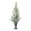 Mini Pine Tree in Urn 28