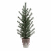 Potted Mini Pine Tree (Set of 2)