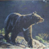 Custom Printed Rugs Bear Wildlife Rug