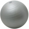 55-65 cm ABS Challenge Powerball