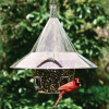 Arundale Mandarin Feeder - New Arch Ports