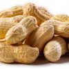 50 lbs Peanuts Raw in Shell for Wild Bird Feed