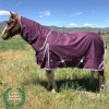 260 gm Lining & Reflective Stripes with Boreas Purple Turnout Blanket 1200 Denier