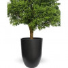 Sunscape Bell Planter Matte Black